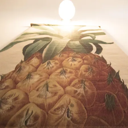 Surfing Etxea - Surf Хостел Сан-Себастьян