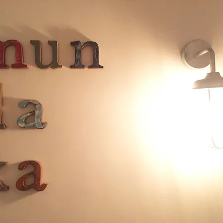 Hostel Surfing Etxea - Surf *