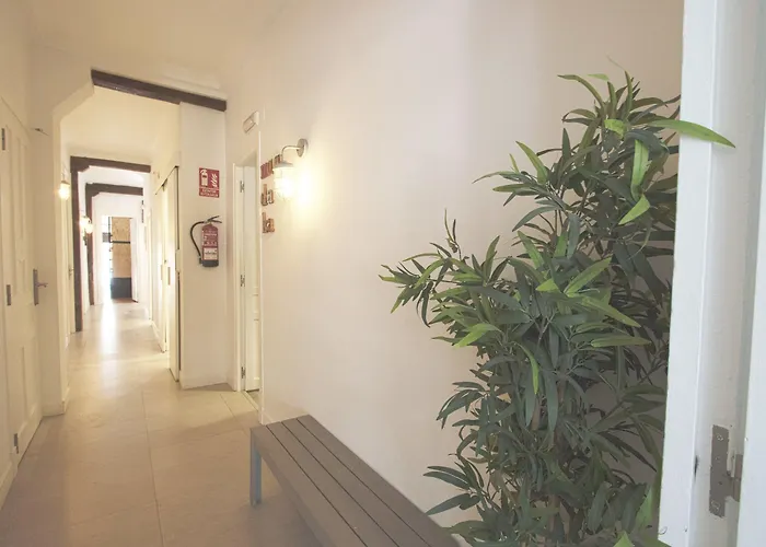 Hostel Surfing Etxea - Surf San Sebastian