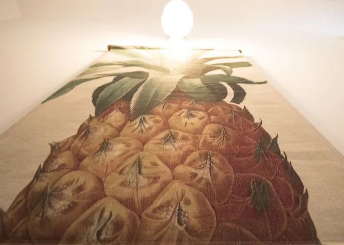 Surfing Etxea - Surf Хостел Сан-Себастьян