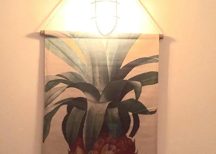 Surfing Etxea - Surf * Сан-Себастьян