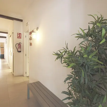 Hostel Surfing Etxea - Surf Σαν Σεμπαστιάν