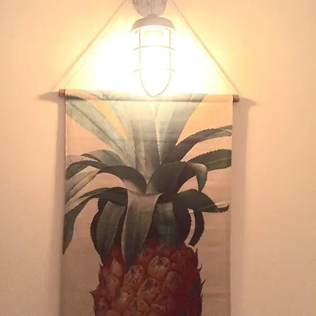 Surfing Etxea - Surf * San Sebastián