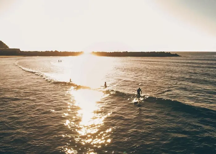 旅馆 Surfing Etxea - Surf