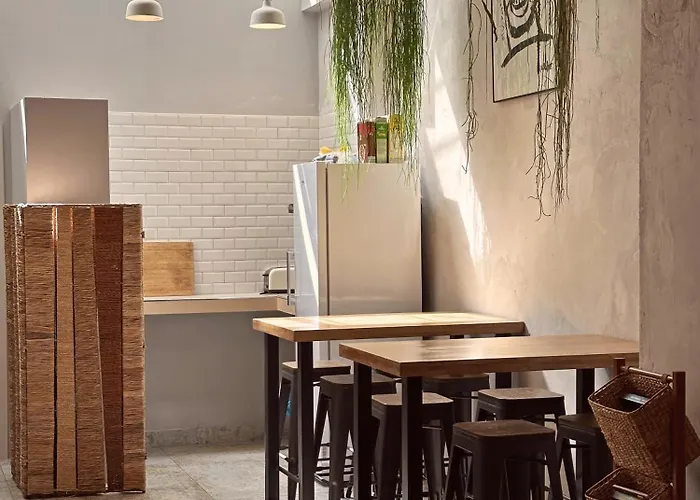 Surfing Etxea - Surf